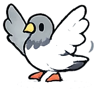 鳩の群れ