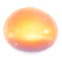 暁
